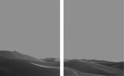 Imperial Dunes III Diptych — fine art print by Alex Hoerner